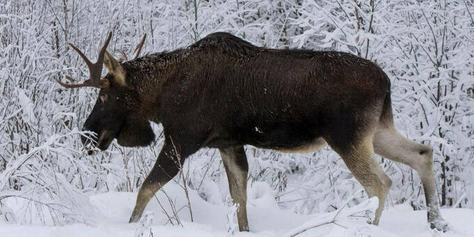 Внедорожники для охоты и рыбалки